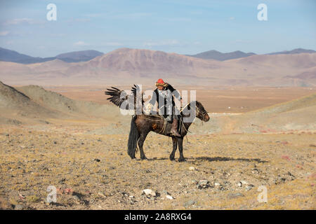 Traditionelle kasachische Eagle Hunter seinem fliegenden Steinadler Mitte - Flug auf dem Rücken der Pferde. Serie von 3 Bildern. Ulgii, Mongolei. Stockfoto