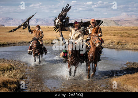 Eine Gruppe von traditionellen kasachischen eagle Jäger halten ihre goldenen Adler auf dem Rücken der Pferde während der Galoppierenden aufgrund ihrer River. Ulgii, Mongolei. Stockfoto