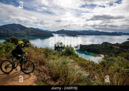 Radfahrer auf den Link Weg, Marlborough Sounds, Neuseeland Stockfoto