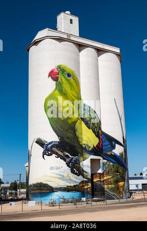 Waikerie Silo Kunst, South Australia. Stockfoto