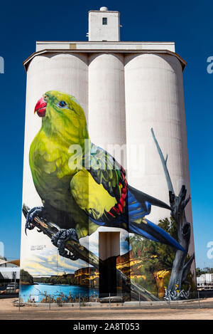 Waikerie Silo Kunst, South Australia. Stockfoto