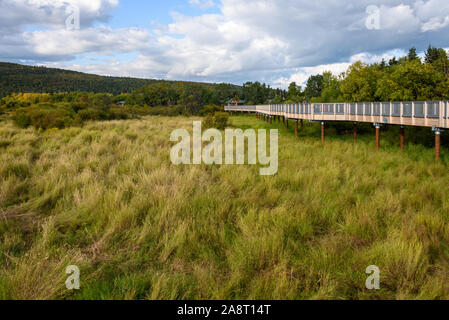 KATMAI NATIONAL PARK, AK-September 16, 2019: Neue erhöhte permanente Brücke über der Brooks River, offizielle Eröffnung Juni 2019. Stockfoto