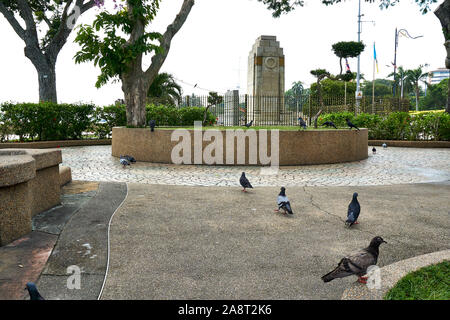 PENANG, MALAYSIA - Oktober 01.2019: Foto von Dove und in einem kleinen Park raven Neben Rathaus Stockfoto