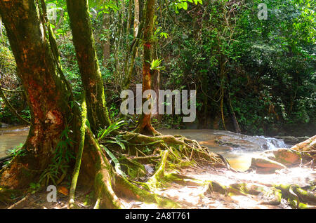 Der Strom, der fließt unten von den Wasserfall am Sa Nang Manora Forest Park in Phang Nga Thailand Asien Stockfoto