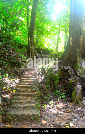 Treppe bis zum Wasserfall am Sa Nang Manora Forest Park Phang Nga Town Thailand Asien Stockfoto