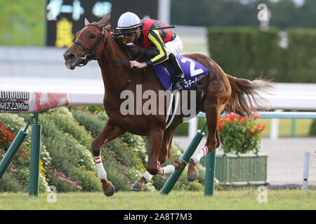 Kyoto, Japan. 10 Nov, 2019. Lucky Lila (Christophe Soumillon) Horse Racing: Lucky Lila geritten von Christophe Soumillon gewinnt den Queen Elizabeth II Cup in Kyoto Racecourse in Kyoto, Japan. Credit: Eiichi Yamane/LBA/Alamy leben Nachrichten Stockfoto