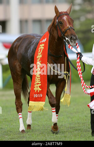 Kyoto, Japan. 10 Nov, 2019. Lucky Lila Pferderennen: Lucky Lila nach dem Gewinn des Queen Elizabeth II Cup in Kyoto Racecourse in Kyoto, Japan. Credit: Eiichi Yamane/LBA/Alamy leben Nachrichten Stockfoto