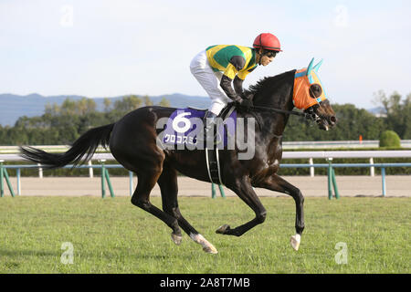 Kyoto, Japan. 10 Nov, 2019. Crocosmia (Yusuke Fujioka) Pferderennen: Crocosmia geritten von Yusuke Fujioka, bevor die Queen Elizabeth II Cup in Kyoto Racecourse in Kyoto, Japan. Credit: Eiichi Yamane/LBA/Alamy leben Nachrichten Stockfoto