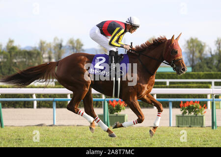 Kyoto, Japan. 10 Nov, 2019. Lucky Lila (Christophe Soumillon) Horse Racing: Lucky Lila geritten von Christophe Soumillon, bevor die Queen Elizabeth II Cup in Kyoto Racecourse in Kyoto, Japan. Credit: Eiichi Yamane/LBA/Alamy leben Nachrichten Stockfoto