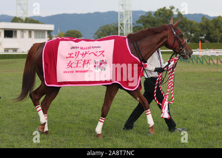 Kyoto, Japan. 10 Nov, 2019. Lucky Lila Pferderennen: Lucky Lila nach dem Gewinn des Queen Elizabeth II Cup in Kyoto Racecourse in Kyoto, Japan. Credit: Eiichi Yamane/LBA/Alamy leben Nachrichten Stockfoto