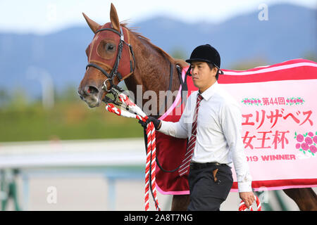 Kyoto, Japan. 10 Nov, 2019. Lucky Lila Pferderennen: Lucky Lila nach dem Gewinn des Queen Elizabeth II Cup in Kyoto Racecourse in Kyoto, Japan. Credit: Eiichi Yamane/LBA/Alamy leben Nachrichten Stockfoto