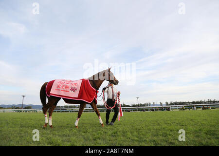 Kyoto, Japan. 10 Nov, 2019. Lucky Lila Pferderennen: Lucky Lila nach dem Gewinn des Queen Elizabeth II Cup in Kyoto Racecourse in Kyoto, Japan. Credit: Eiichi Yamane/LBA/Alamy leben Nachrichten Stockfoto