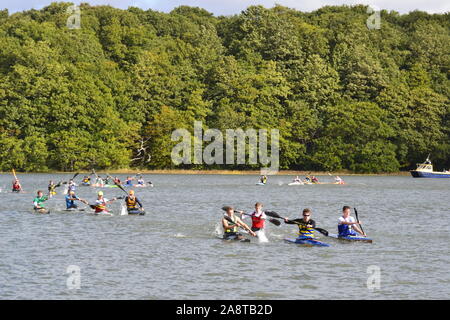 Canoe Racing auf dem River Hamble. Blick von der Mole in River Hamble Country Park. Hasler Finale 2019 Stockfoto