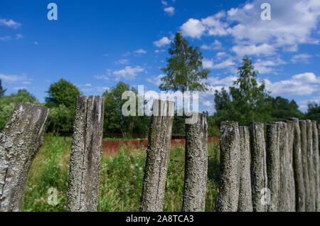 Einfache bemoosten Holzzaun an einem sonnigen Tag im Hintergrund von Wald und blauer Himmel Stockfoto