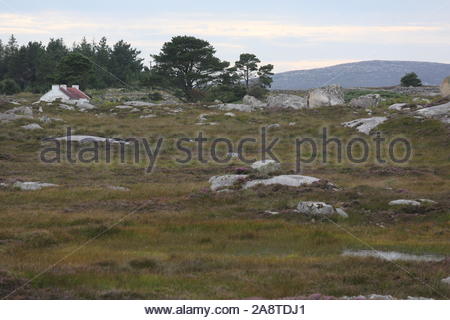 Ein Ferienhaus im Westen Irlands liegt hinter Felsen an einem Sommertag ausgeblendet Stockfoto
