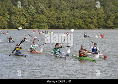 Canoe Racing auf dem River Hamble. Blick von der Mole in River Hamble Country Park. Hasler Finale 2019 Stockfoto