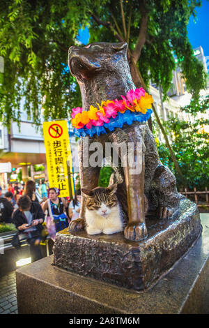 Hachiko Denkmal, Blick auf die Bronzestatue von hachiko am Bahnhof Shibuya entfernt. Hachiko war ein Hund, der für den Besitzer nach seinem Tod wartete. Shibuya, Tokio, Stockfoto