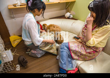 Mimi Kaninchen Cafe. Ikebukuro district, Toshima, Tokio, Japan, Asien Stockfoto