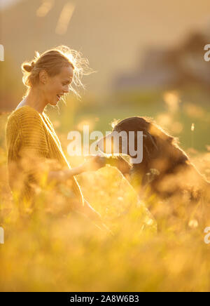 Hübsche, junge Frau mit ihrem großen schwarzen Hund auf einem schönen sonnigen Wiese in warmes Abendlicht, die gemeinsam spielen Stockfoto