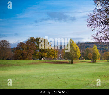 Charmante Herbst Landschaft in Schottland - Bunte Bäume, Gras, Wald, blauer Himmel Stockfoto