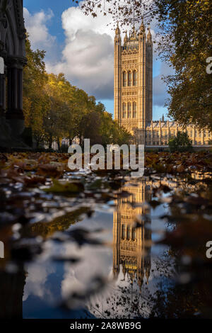 London Herbst Victoria Tower Palace of Westminster und Blätter im Herbst in Victoria Tower Gardens wider. 8 Nov 2019 Das Victoria Tower ist ein Quadrat Stockfoto