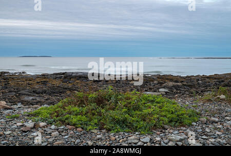 Dämmerung auf den Atlantischen Ozean. Acadia National Park, Maine, USA. Stockfoto