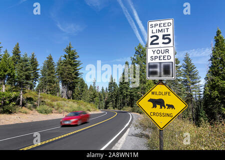 Eine "wildlife Kreuzung' und 25 MPH Höchstgeschwindigkeit Zeichen durch eine Straße mit einem vorbeifahrenden Auto im Yosemite National Park, Kalifornien. Stockfoto