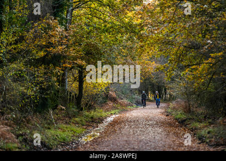 Familien Spaß auf der ehemaligen Bahnstrecke jetzt eine Familie Rad- und Wanderweg. Wald von Dean, cannop Teiche, Gloucestershire. Herbst Stockfoto