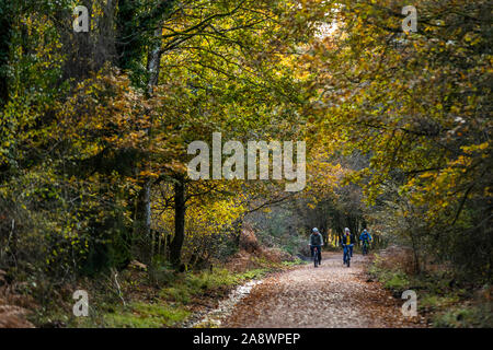 Familien Spaß auf der ehemaligen Bahnstrecke jetzt eine Familie Rad- und Wanderweg. Wald von Dean, cannop Teiche, Gloucestershire. Herbst Stockfoto