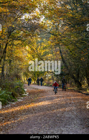 Familien Spaß auf der ehemaligen Bahnstrecke jetzt eine Familie Rad- und Wanderweg. Wald von Dean, cannop Teiche, Gloucestershire. Herbst Stockfoto