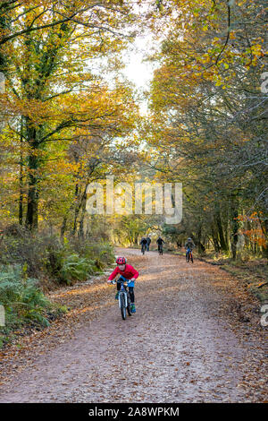 Familien Spaß auf der ehemaligen Bahnstrecke jetzt eine Familie Rad- und Wanderweg. Wald von Dean, cannop Teiche, Gloucestershire. Herbst Stockfoto