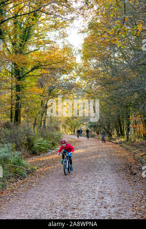 Familien Spaß auf der ehemaligen Bahnstrecke jetzt eine Familie Rad- und Wanderweg. Wald von Dean, cannop Teiche, Gloucestershire. Herbst Stockfoto