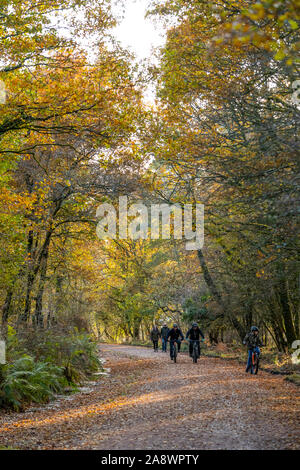 Familien Spaß auf der ehemaligen Bahnstrecke jetzt eine Familie Rad- und Wanderweg. Wald von Dean, cannop Teiche, Gloucestershire. Herbst Stockfoto