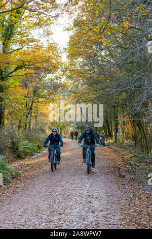 Familien Spaß auf der ehemaligen Bahnstrecke jetzt eine Familie Rad- und Wanderweg. Wald von Dean, cannop Teiche, Gloucestershire. Herbst Stockfoto