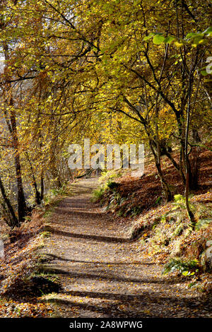 Rob Roy in Aberfeldy, Perth und Kinross, Schottland. Stockfoto