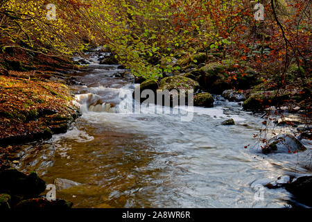 Die moness Fluss und Wasserfällen an der Birks Aberfeldy Stockfoto