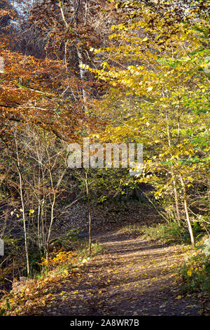 Rob Roy in Aberfeldy, Perth und Kinross, Schottland. Stockfoto