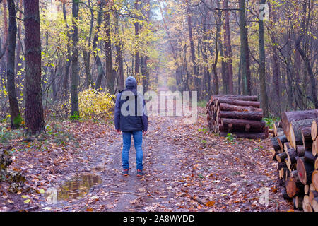 Man Walking im Wald im November, im Herbst. Stockfoto