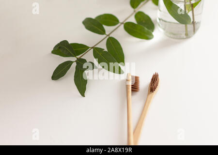 Zwei braune biologisch abbaubaren, kompostierbaren Bambus Zahnbürsten auf weißem Hintergrund. Grüne Pflanze Dekor in den Hintergrund. Stockfoto