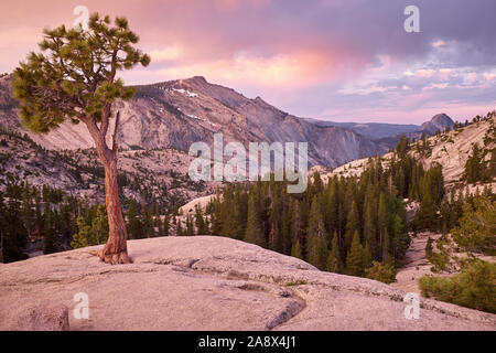 Halb-kuppel von olmstead Point im Yosemite National Park, Kalifornien, USA Stockfoto