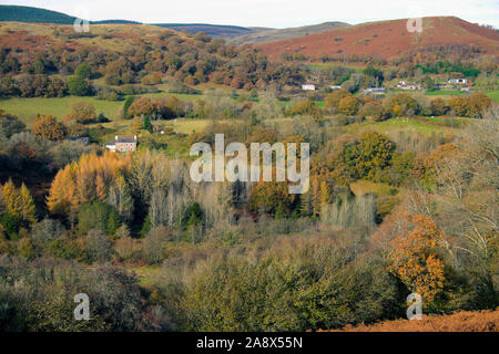 Haus Haus Haus umgeben von Bäumen und Wald in Herbsttönen Farben Carmarthenshire West Wales UK KATHY DEWITT Stockfoto