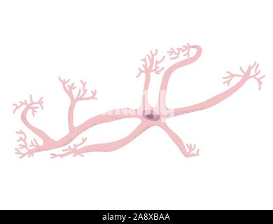 Neuron Zelle isoliert. Gehirn Zelle mit axones und Dendriten. Vektor illustartion. Stock Vektor