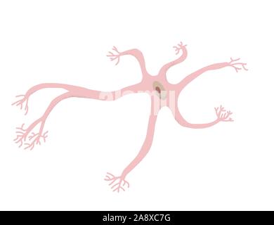 Neuron Zelle isoliert. Gehirn Zelle mit axones und Dendriten. Vektor illustartion. Stock Vektor