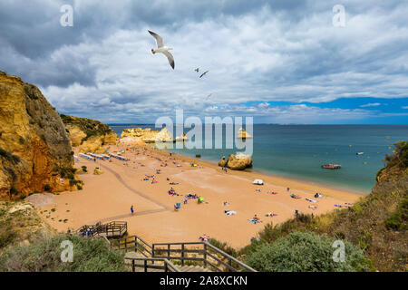 Holzsteg zu berühmten Praia Dona Ana Strand mit türkisblauem Meer Wasser und Klippen, fliegende Möwen über den Strand, Portugal. Schönen Strand Dona Ana Stockfoto