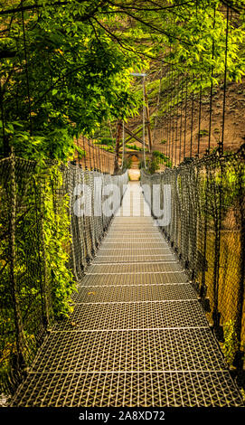 Hängebrücke, Drumheller Dinosaurier-land Stockfoto