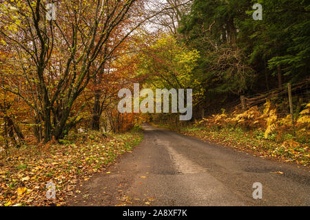 Die herbstlichen Bäume einer einzelnen Spur Straße durch Glen Lyon in Perth und Kinross, Schottland. 3. November 2019 Stockfoto