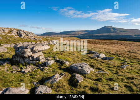 Der Yorkshire Three Peaks Challenge findet auf dem Gipfel des Pen-y-Gent, Whernside und Ingleborough, in der Regel in dieser Reihenfolge, und in unter 12 Stunden. Stockfoto