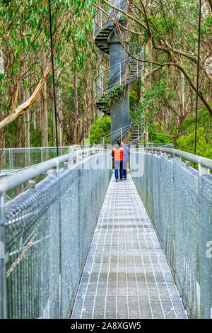Zwei Touristen zu Fuß entlang der metallischen treetop Gehweg durch den Regenwald der Otway in Victoria, Australien Fliegen Stockfoto