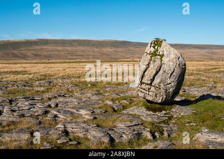 Ein glazialen erratischen ist ein Stück Fels, der von der Größe und Art des Rock native auf den Bereich, in dem sie ruht unterscheidet. Stockfoto