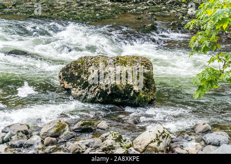 Wildwasser Stromschnellen auf den Snoqualmie River im Bundesstaat Washington. Stockfoto